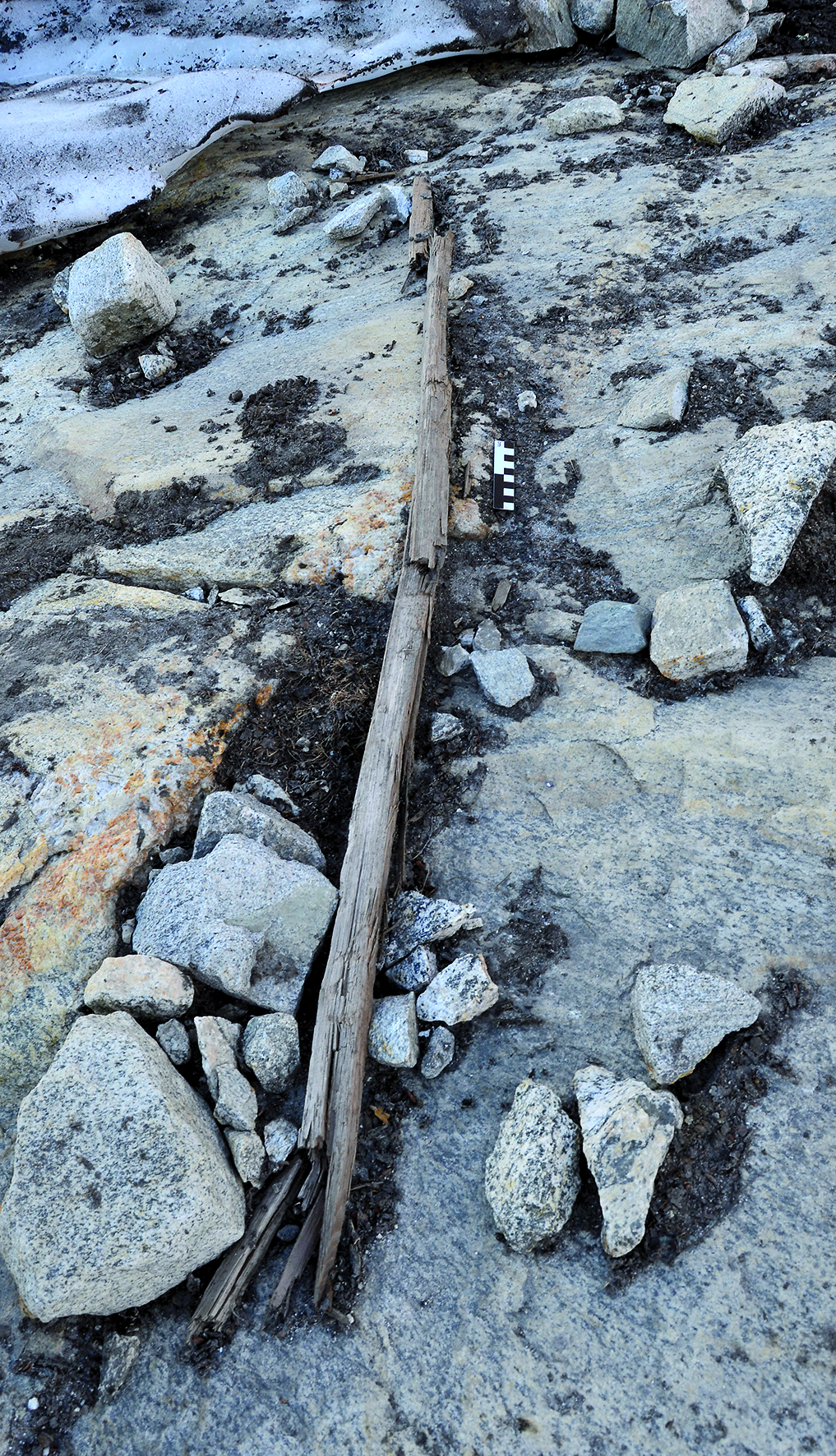 En fragmentert, men ellers godt bevart trespade som ble funnet etter at fonna i Grovåskaret smeltet kraftig tilbake i august 2014. Foto: Dag Ringstad