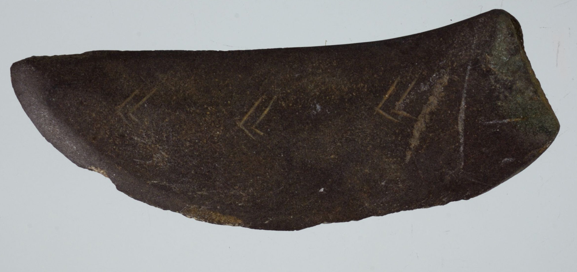 Fragment av skiferkniv med sikksakkdekor, fra Hemnes i Nordland. Foto: Ole Bjørn Pedersen, NTNU Vitenskapsmuseet