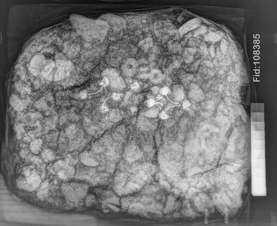 Røntgenbilde viser at det også lå en likearmet spenne i perleboksen. Foto: Ellen Randerz, NTNU Vitenskapsmuseet