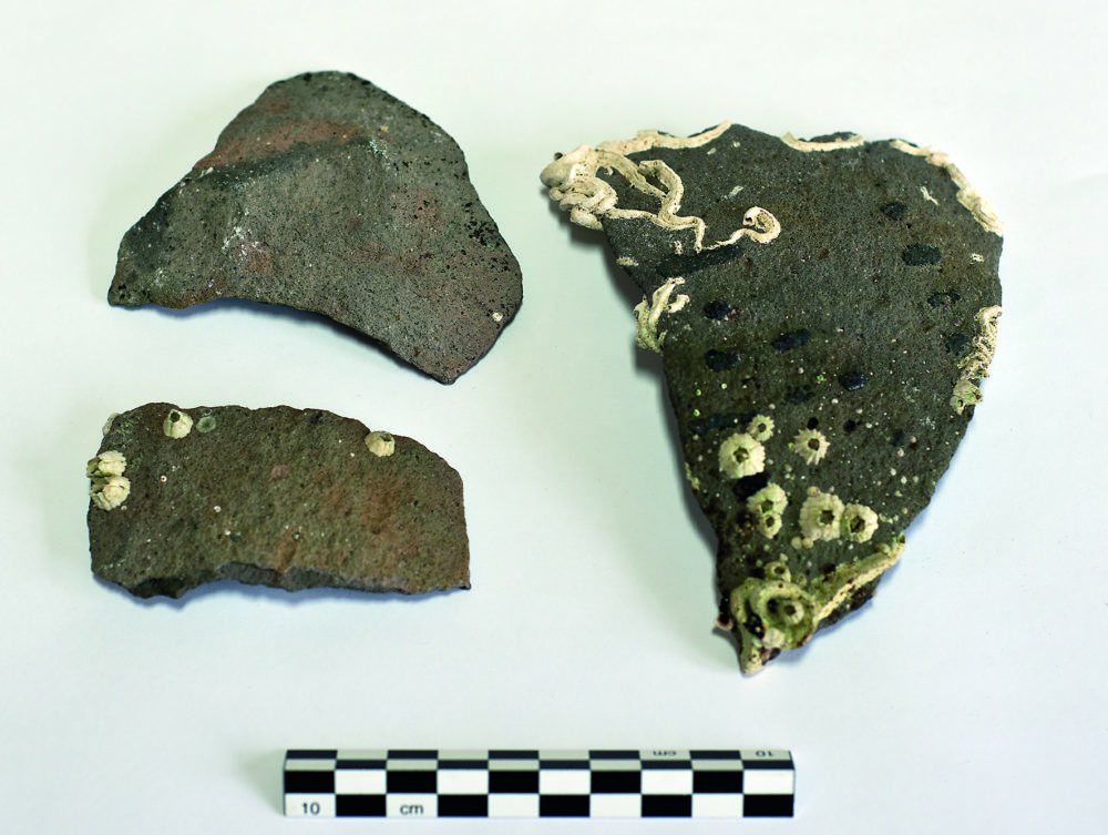 De tre keramikkskårene funnet sammen på nordlige siden av bukta (T25287:2-4). Legg merke til spor av hank på skåret øverst til venstre, samt dekorprikkene på skåret til høyre. Eventuell blyglasur er slipt vekk av sedimentene. Foto Fredrik Skoglund, NTNU Vitenskapsmuseet