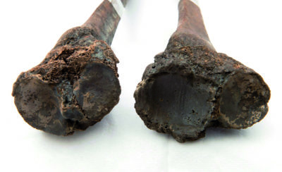 Skinnebein fra et voksent individ med artrose i knærne. Foto: Terje Tveit, UiS Arkeologisk museum