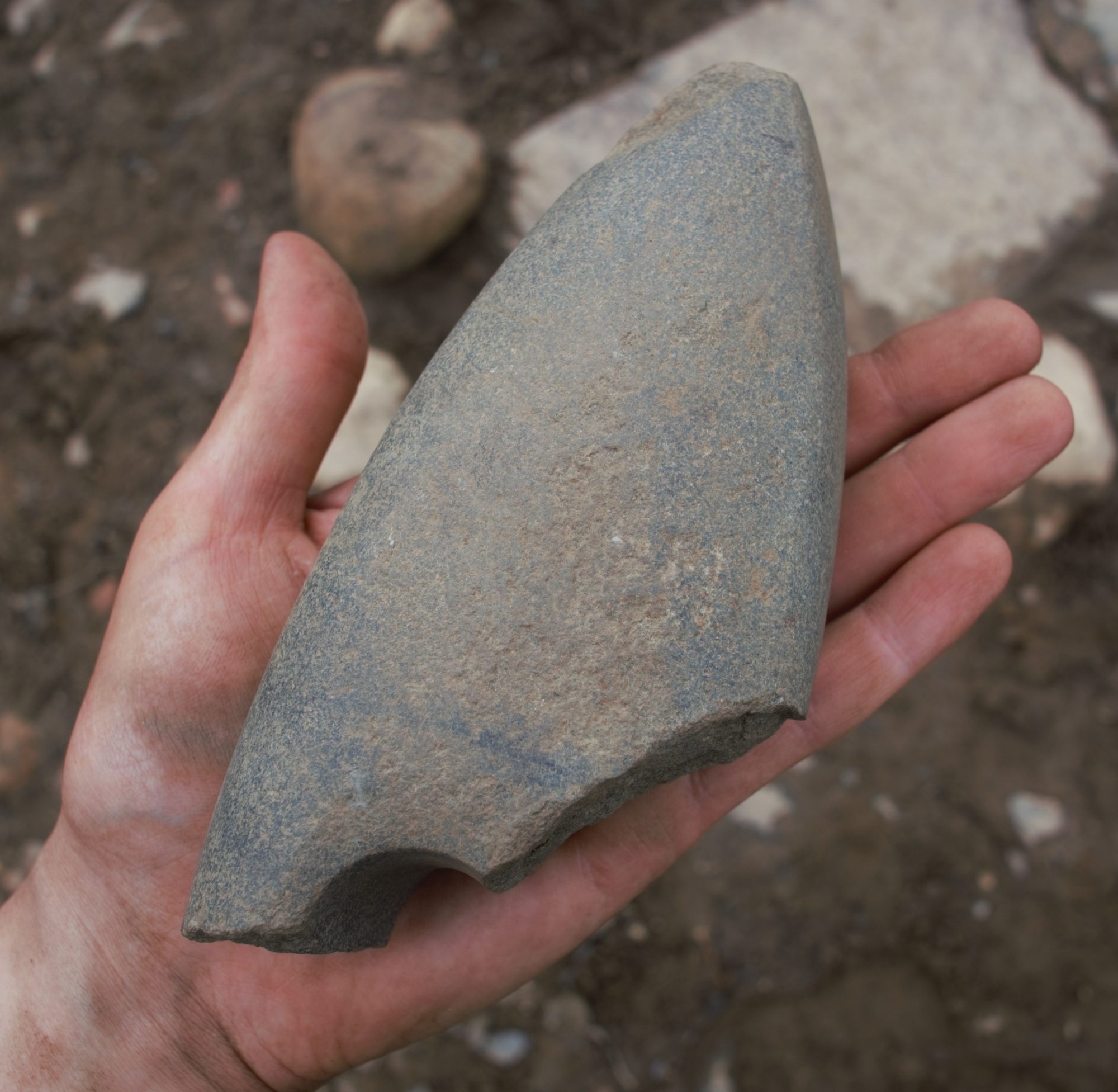 Fragment av skafthulløks fra yngre steinalder, nedlagt i den ene røysa i romertid. Foto: Astrid Kviseth, NTNU Vitenskapsmuseet. 